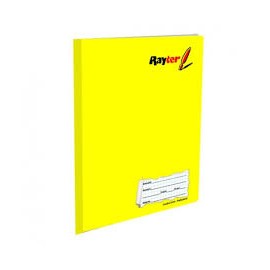 CUADERNO RAYTER PROFESIONAL COSIDO CUADRICULA C5 100 HOJAS