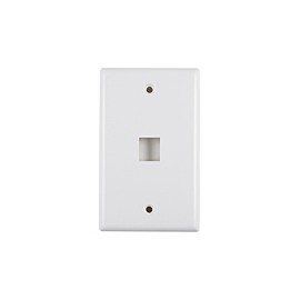 PLACA 2" X 4" DE 1 PUERTO, BLANCA